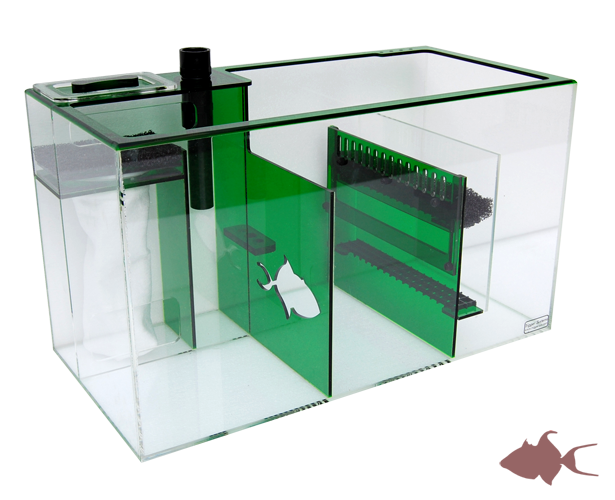 Trigger systems bulkhead | Reef2Reef