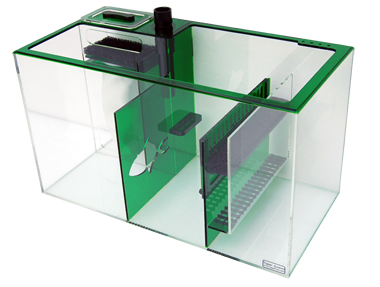 EMERALD26_MAIN