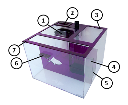 AMETHYST20C_Details