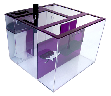 AMETHYST20C_MAIN