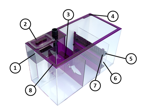 AMETHYST26_Details