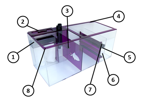 AMETHYST34_Details