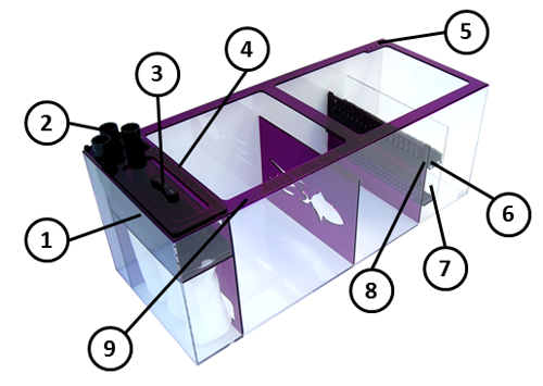 AMETHYST39_Details