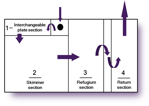 Amethyst26Flow