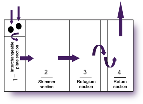 Amethyst39Flow