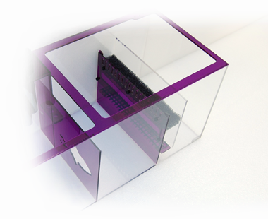 Amethyst_Adjustable_Wall