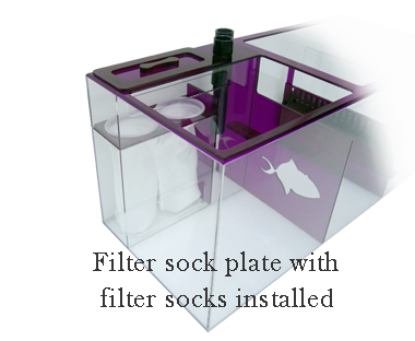 Amethyst_Sock_Plate