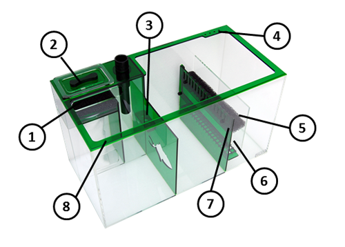 EMERALD26_Details