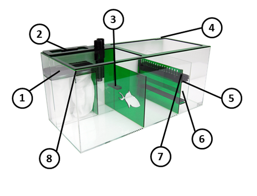 EMERALD34_Details