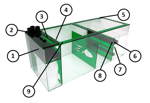 EMERALD39_Details