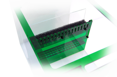 Emerald_Adjustable_Water_Level