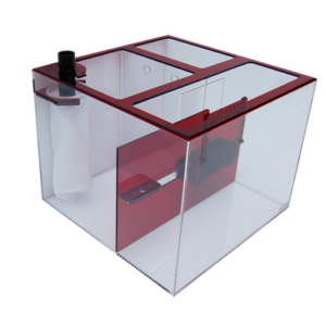 Blemished RUBY20C
