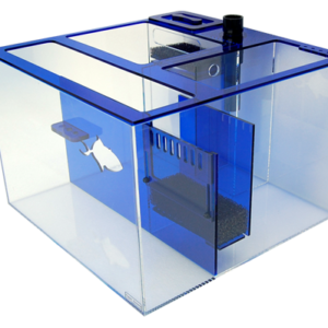 Blemished SAPPHIRE20C