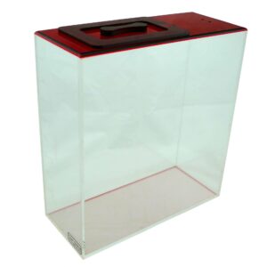 Blemished RUBY-ATO-5